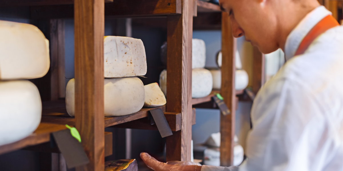 Why Cheese Blocks Belong in Your Kitchen – GootEssa