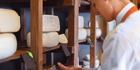 Why Cheese Blocks Belong in Your Kitchen