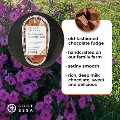 3.5 oz Old Fashioned Chocolate Fudge (Case Lot of 6)